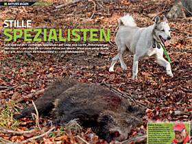 Artikel Stille Spezialisten