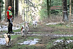 Foto: Gila Fichtlmeier. Die Jagd - Bitte klicken für Großbild